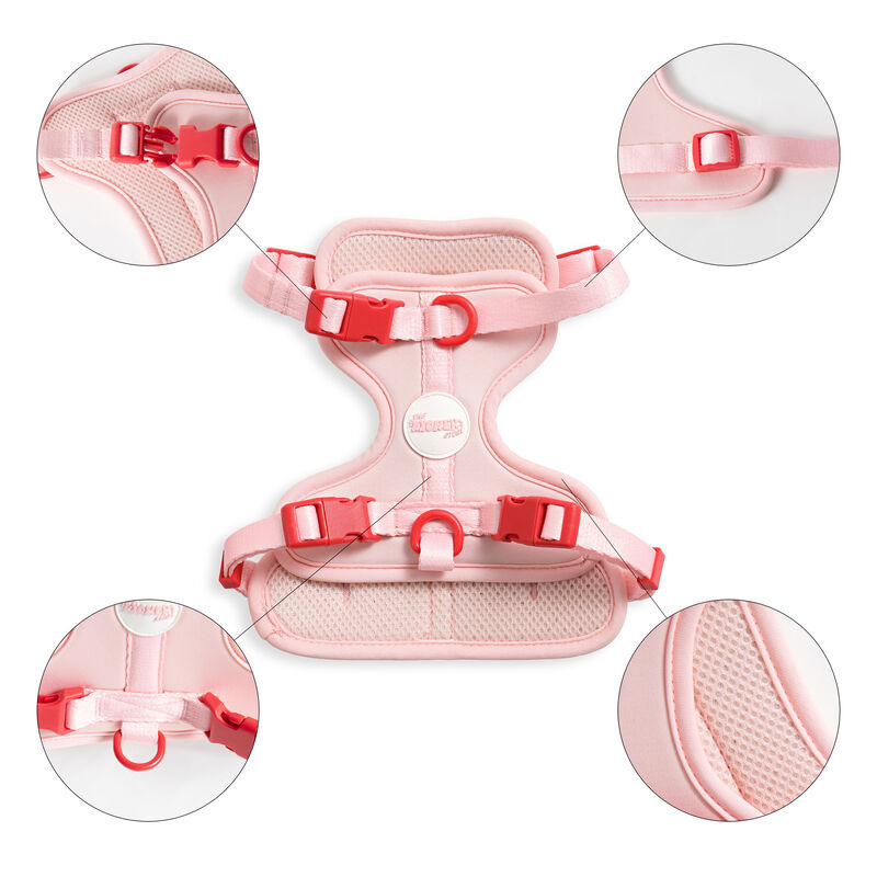 Arlo Adjustable Soft Padded No Pull Pet Harness with 3 Buckles and 3 Leash Clips