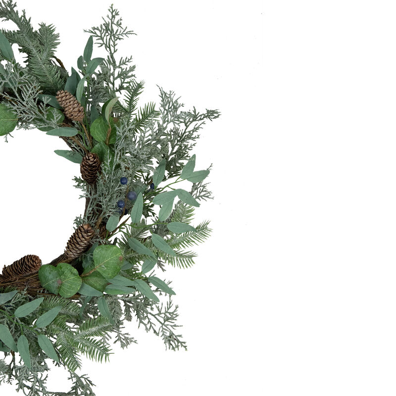 Frosted Green Mixed Foliage and Blueberries Artificial Christmas Wreath  26-Inch  Unlit image number 3