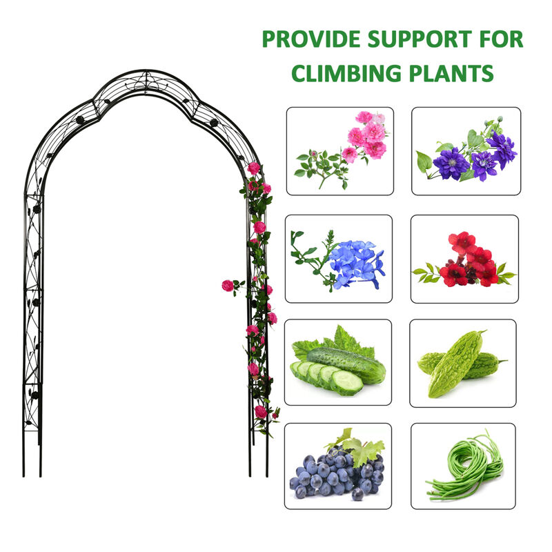 Streamdale Flexible Metal Garden Arch for Various Events