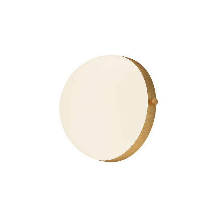 Globo 7-in Damp-Rated Dimmable LED Wall/Vanity Light
