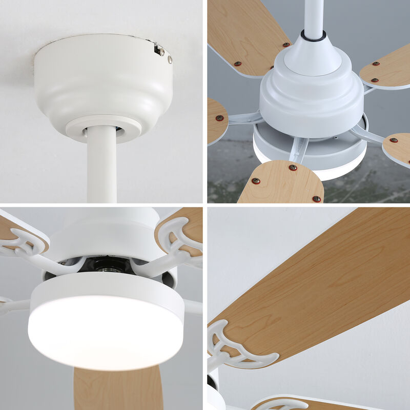 ELEMENT ACE Indoor Modern Ceiling Fan with LED Light and Remote Control for Efficient Airflow image number 7