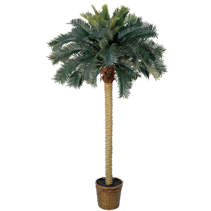 HomPlanti 6 Feet Sago Palm Silk Tree