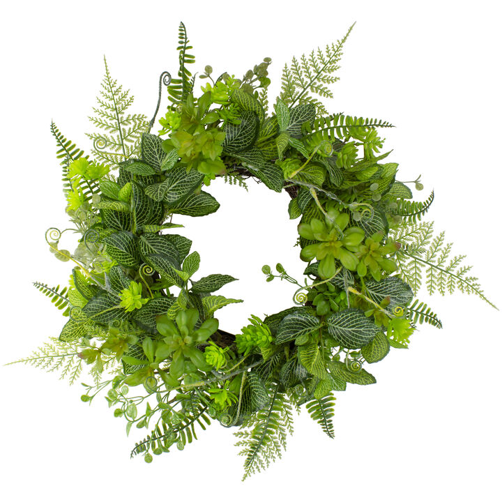 Maidenhair Fern and Assorted Foliage Spring Wreath  24-Inch