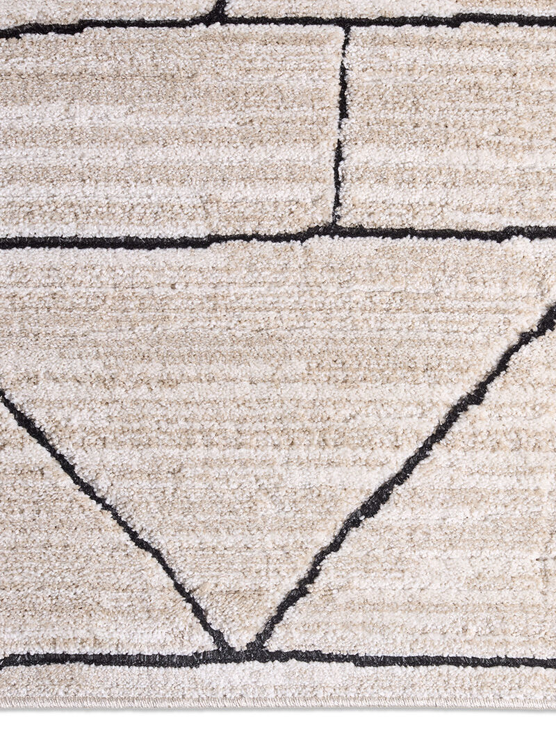 Eva Farhan Tan/Taupe 9'6" x 13'6" Rug image number 5