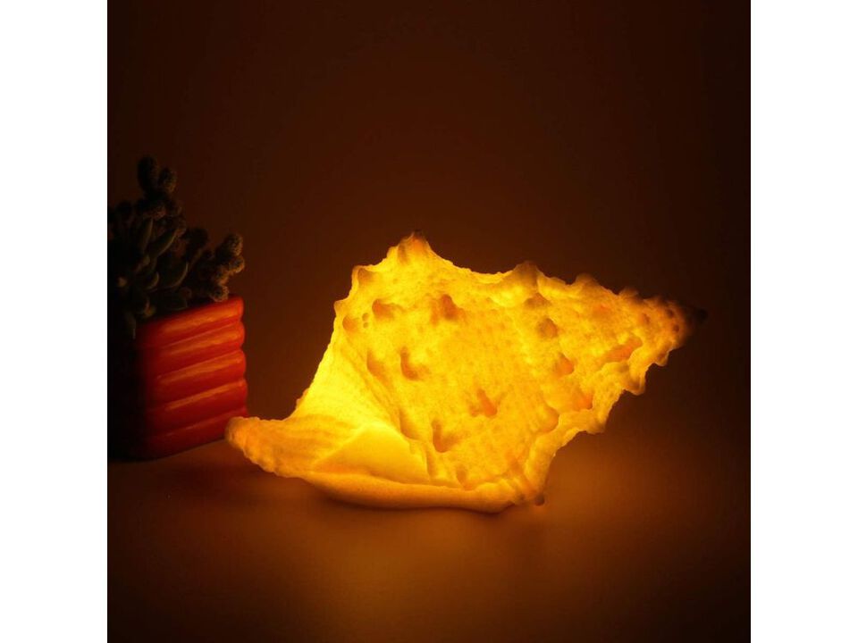 Conch Shell Night Light Battery Operated Beach Table Lamp Warm White