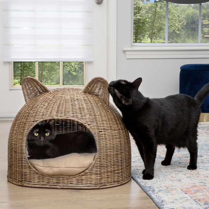 Cat Ear 20" x 14.5" Coastal Handwoven Rattan Cat Bed with Machine-Washable Cushion, Natural