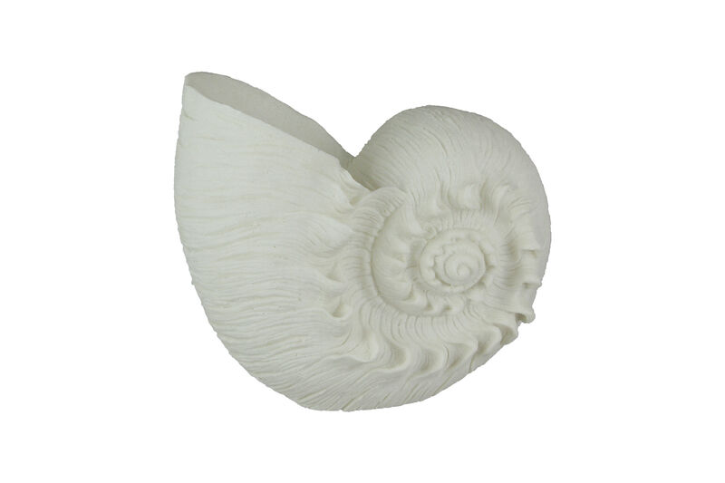 White Sandstone Finish Frilled Nautilus Shell Accent Lamp 10 Inches High image number 0