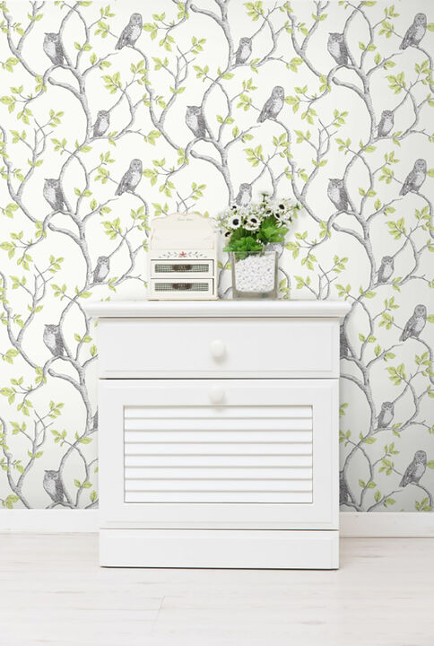 Linden Green Owl Wallpaper