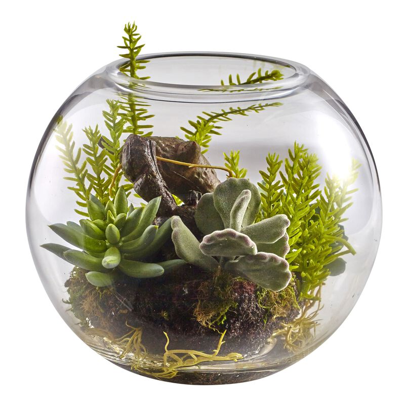 Hivvago Mix Succulent Garden with Glass Vase