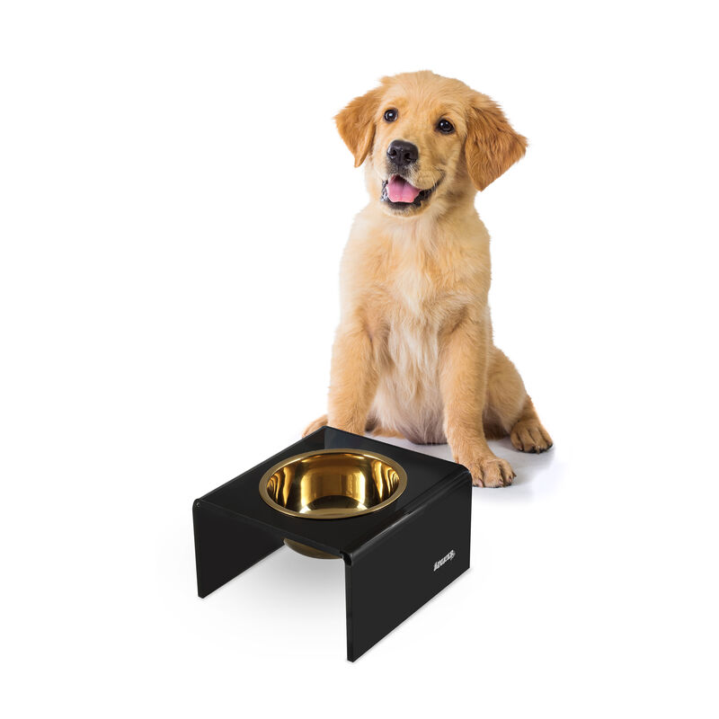 Keaton Modern Acrylic Rectangular Elevated Pet Feeder with Stainless Steel Bowls