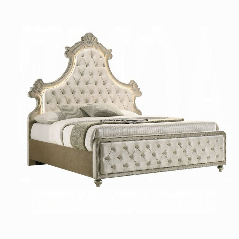 Willa Queen Size Bed, LED Lights, Beige Velvet Upholstery, Brown Wood image number 0