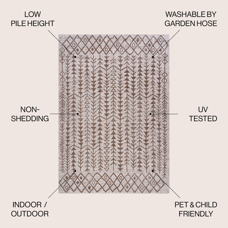 Tokay Bohemian Geometric Indoor/Outdoor Area Rug