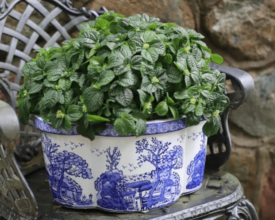Euro Ceramica Blue & White Landscape Design 13.25" Oval Scalloped Edge Ceramic Planter