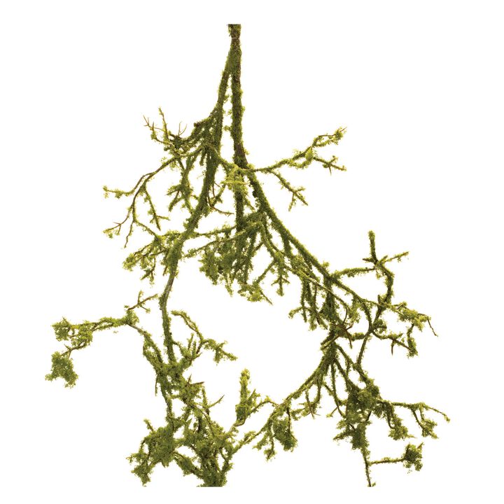 Set of 6 Mossy Twig Branch Vines for Rustic Arrangements or DIY Seasonal Decor