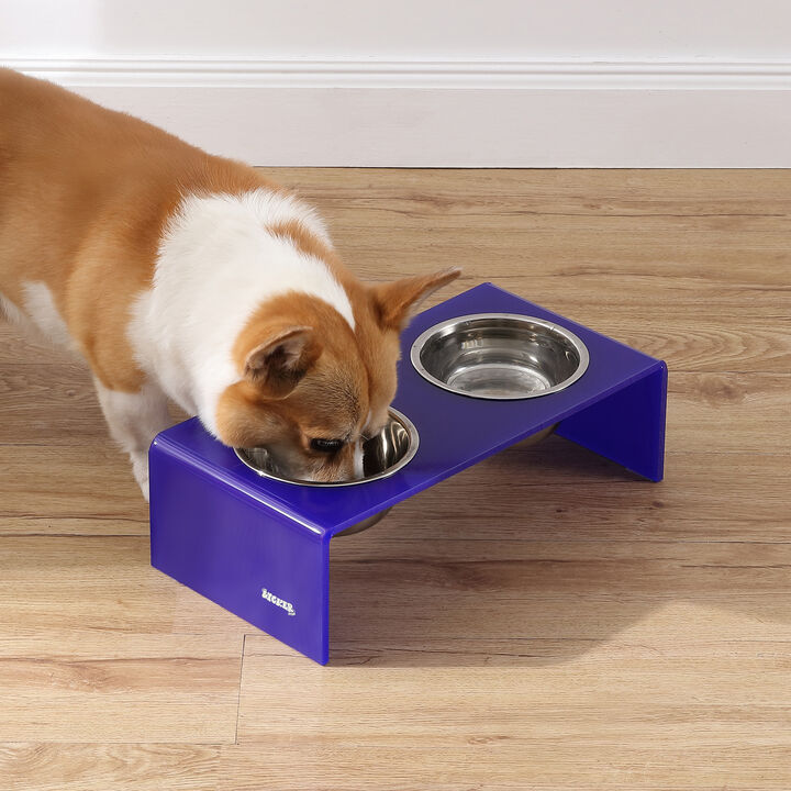 Keaton Modern Acrylic Rectangular Elevated Pet Feeder with Stainless Steel Bowls