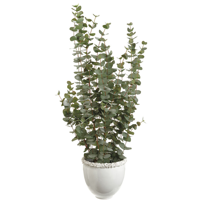 48" Eucalyptus in Vase