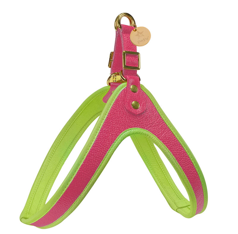 POISEPUP Real Leather Comfortable Step-in Harness for Dogs - Pink | Green