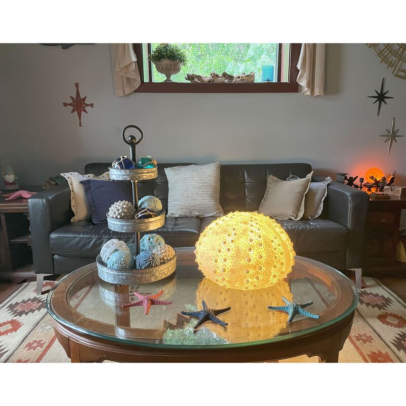 Large White Sea Urchin Coastal Accent Lamp 16 Inch Diameter image number 6