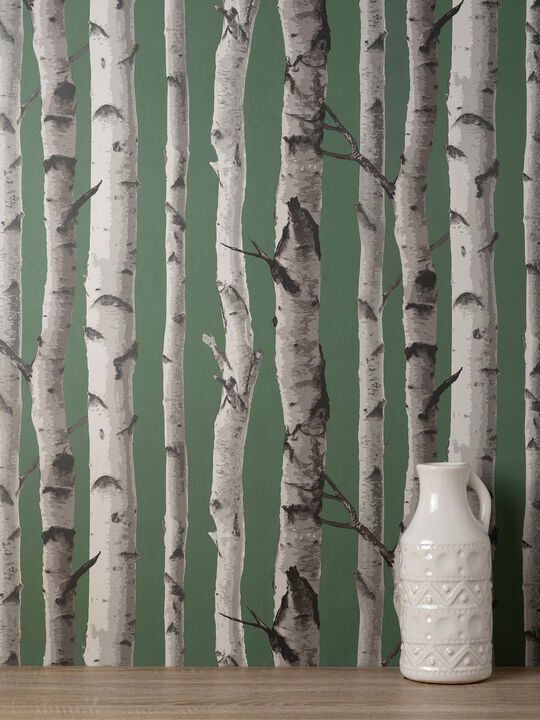 Chester Dark Green Birch Trees Wallpaper