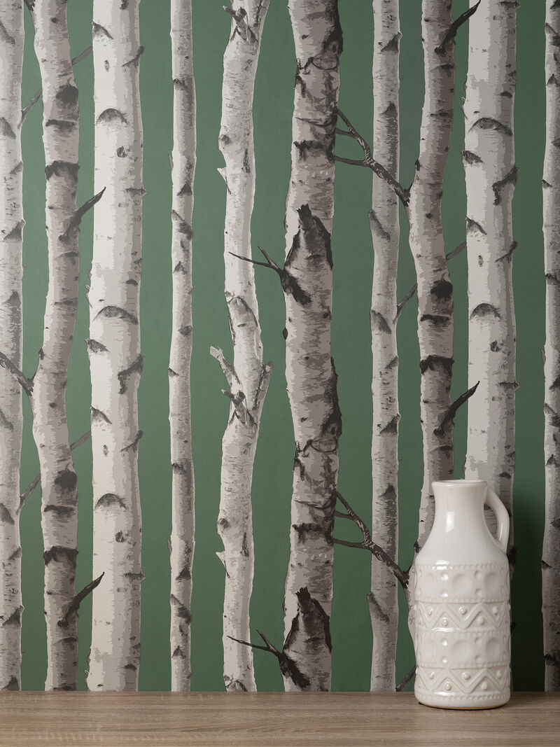 Chester Dark Green Birch Trees Wallpaper image number 1