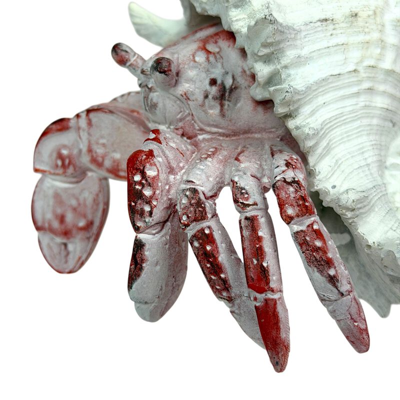 Resin Hermit Crab Statue Red Whitewashed Shell Coastal Figurine 525 In image number 3