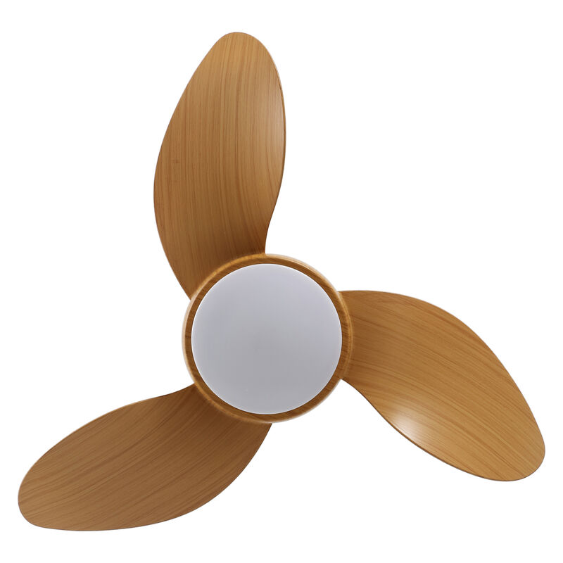 Albini 22" Contemporary Minimalist 6-Speed Metal Mobile-App/Remote-Controlled Dimmable Smart Integrated LED Ceiling Fan