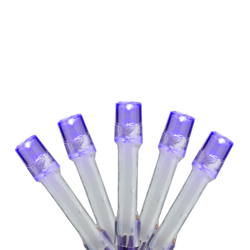 15-Count Battery Operated Purple LED Micro Christmas Lights - 4.8 ft Purple Wire image number 1