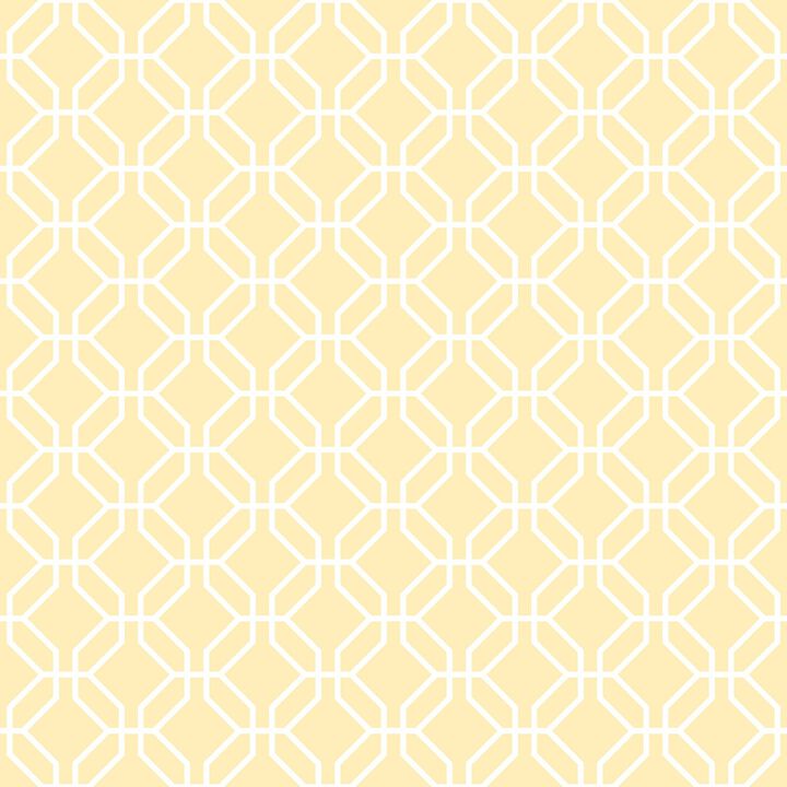 Secret Garden Trellis Positive Green Wallpaper G78528