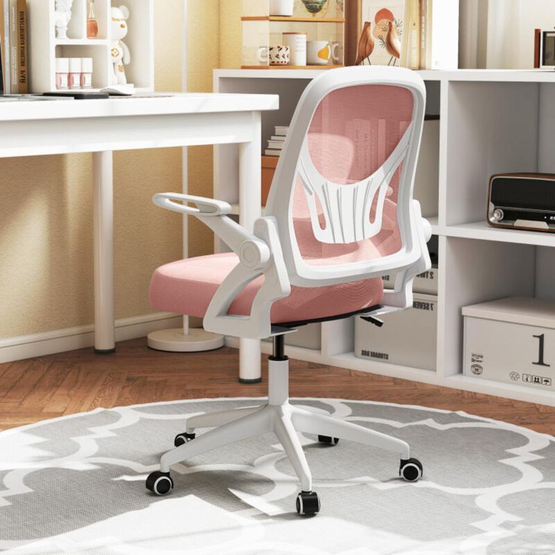 Hivvago Ergonomic Computer Desk Chair with Lumbar Support and Flip-up Arms