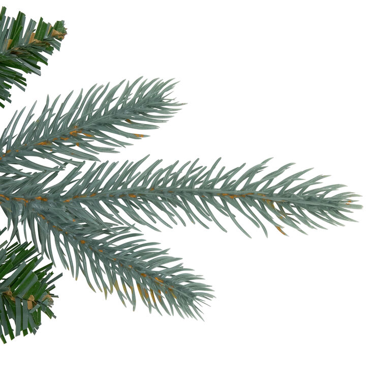 Washington Frasier Fir Artificial Christmas Wreath  48-Inch  Unlit