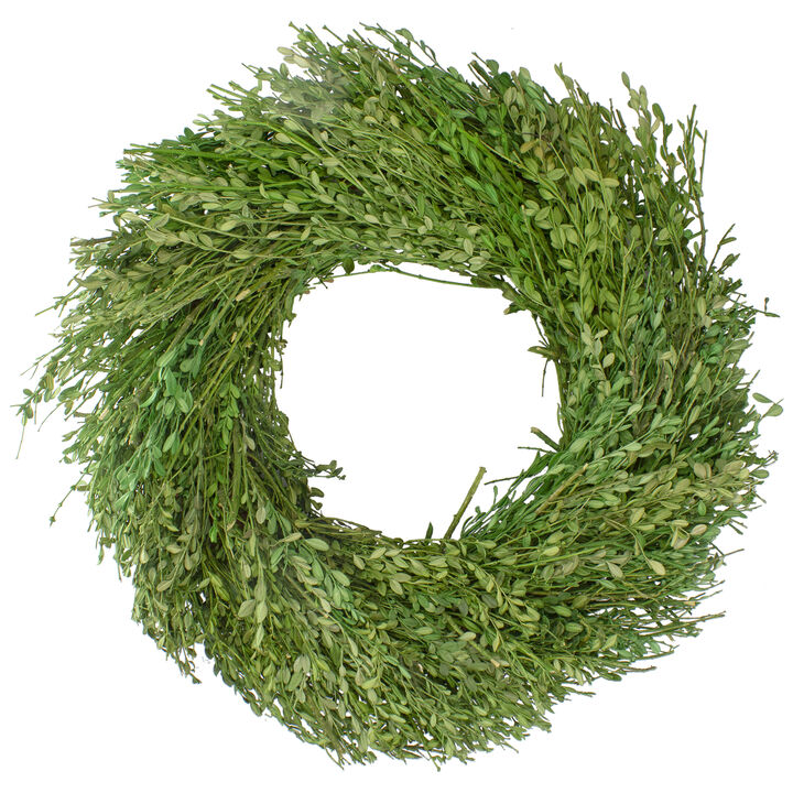 Green Foliage Artificial Spring Wreath  20-Inch