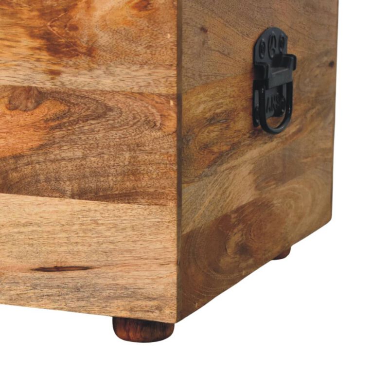 Artisan Furniture Solid Wood Beige Buffalo hide leather Storage Trunk