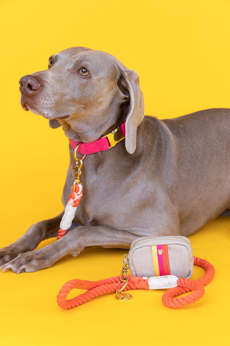 Cora Rope Dog Leash image number 2