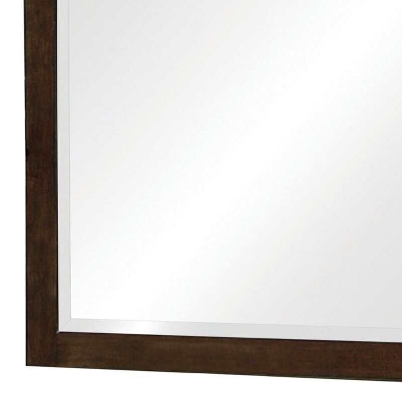 40 Inch Solid Wood Modern Mirror, Portrait, Framed, Cappuccino Brown-Benzara