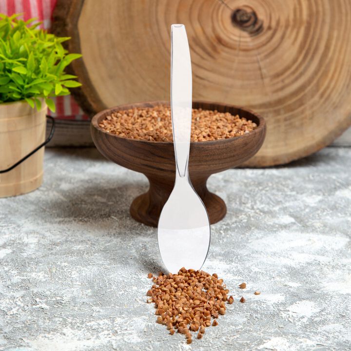 Clear Plastic Serving Spoons (144 Spoons)