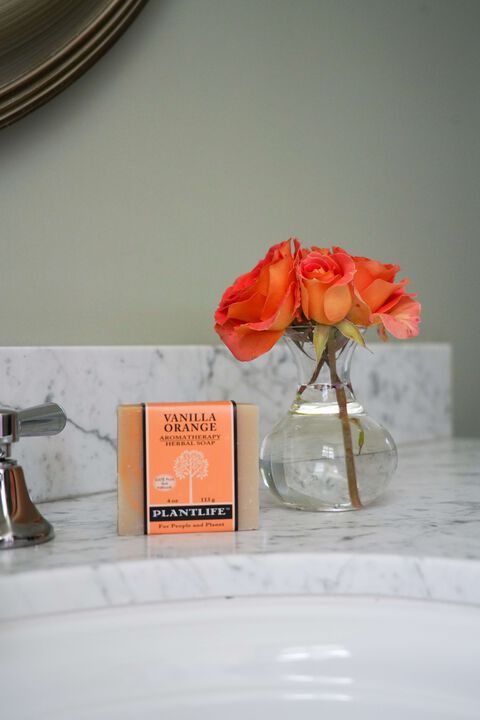 Plantlife Bar Soap - Vanilla Orange 2 Pack