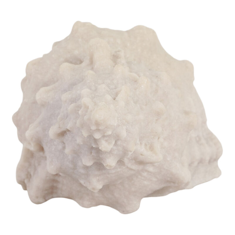 10x5x5 Resin Sand Cong Shell image number 2