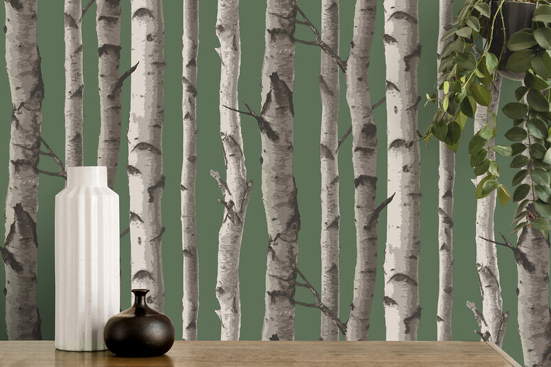 Chester Dark Green Birch Trees Wallpaper image number 3