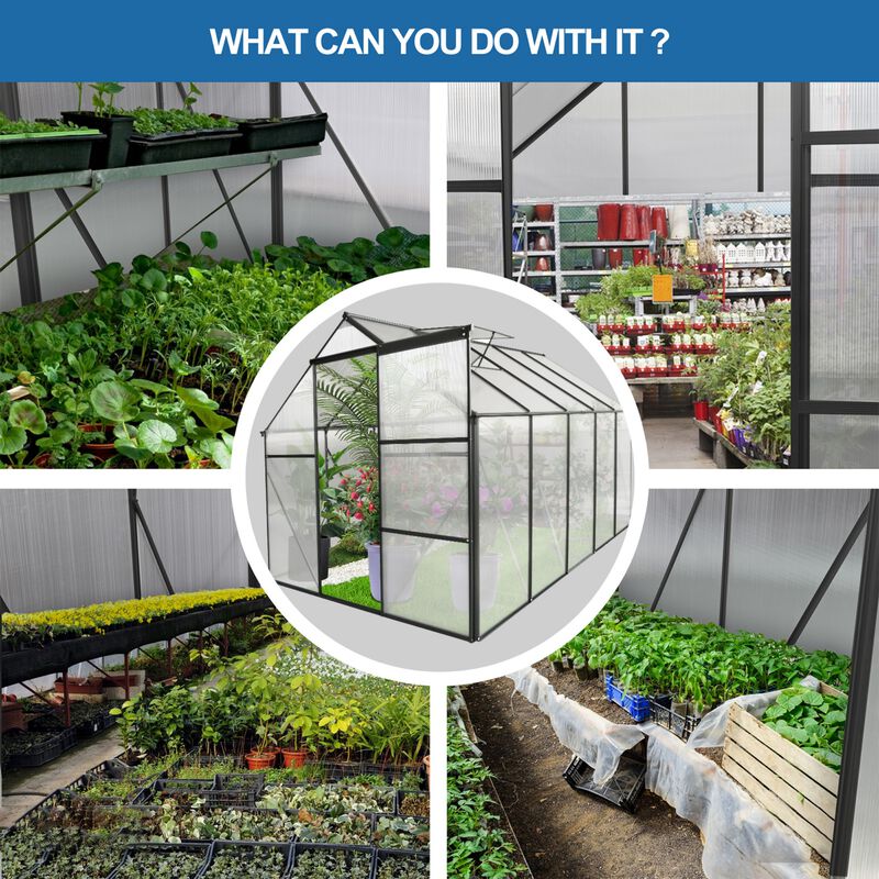 6x10 FT Greenhouse Raised Base&Anchor Aluminum Heavy Duty Walk-in Greenhouses for Outdoor image number 8