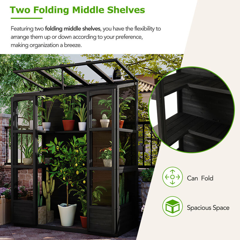Streamdale 78'' Wooden Cold Frame with Skylights, Shelves & Outdoor Walk-inhouse image number 3