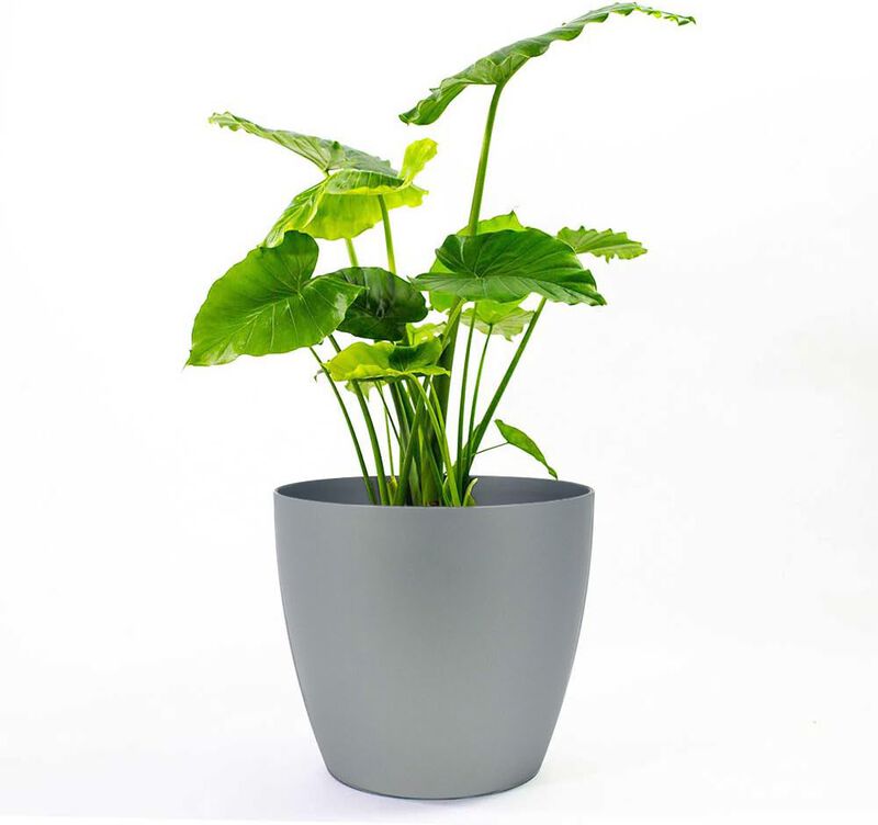 American Essence Memphis Small Round Plastic Planter.