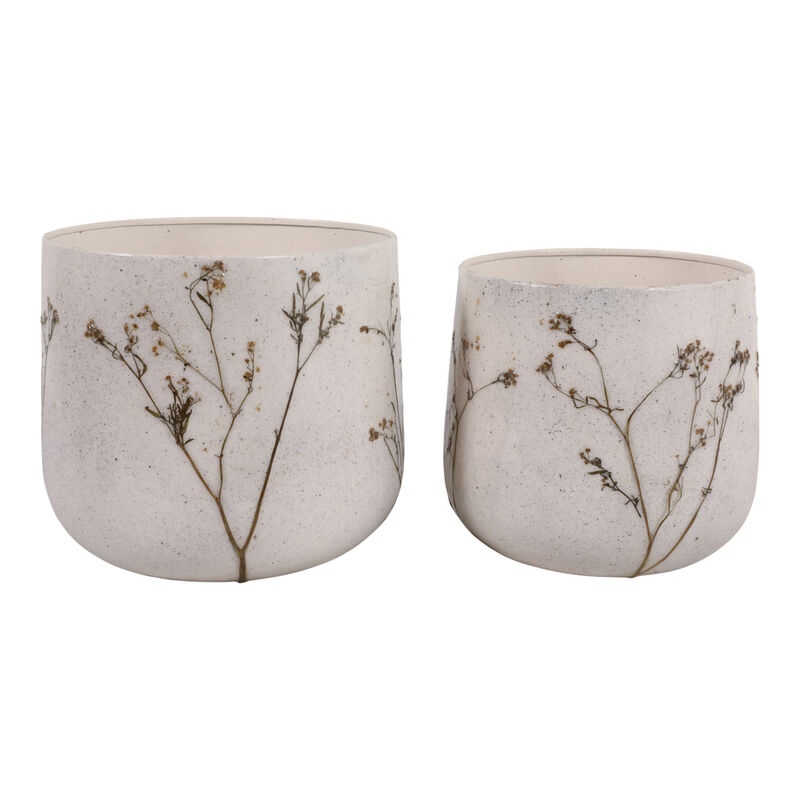 S/2 9/11" Botanical Planters image number 4