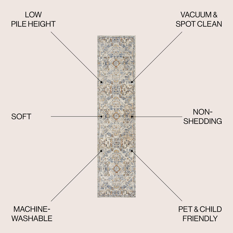 Shaemus Bohemian Medallion Low-Pile Machine-Washable Area Rug