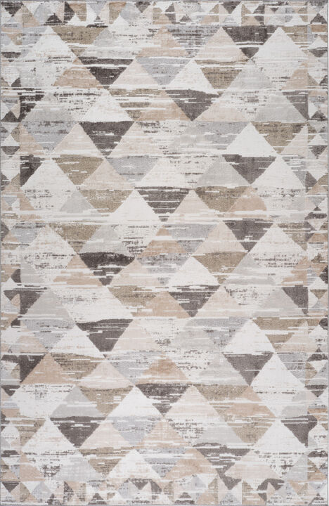HomeRoots Abstract Distressed Area Rug