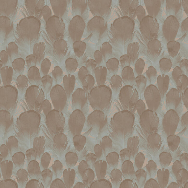 Feathers Brown & Turquoise Wallpaper