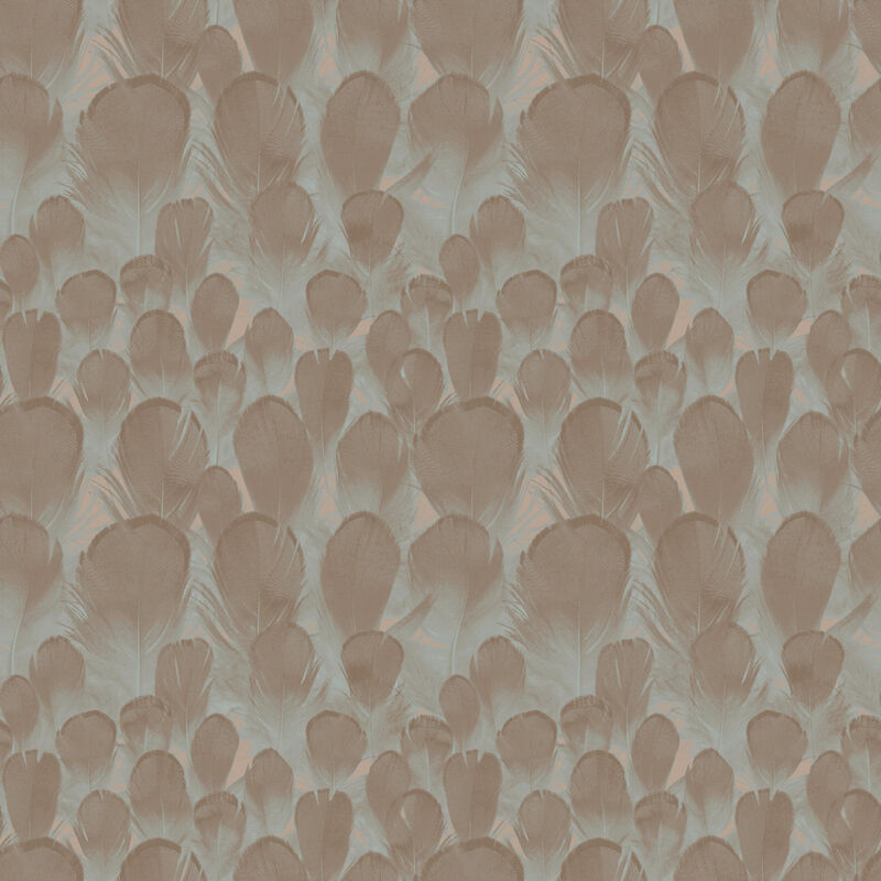 Feathers Brown & Turquoise Wallpaper image number 0