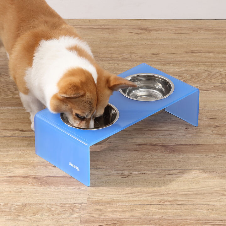 Keaton Modern Acrylic Rectangular Elevated Pet Feeder with Stainless Steel Bowls