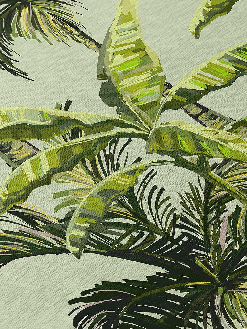 Tropics TC10 Collection