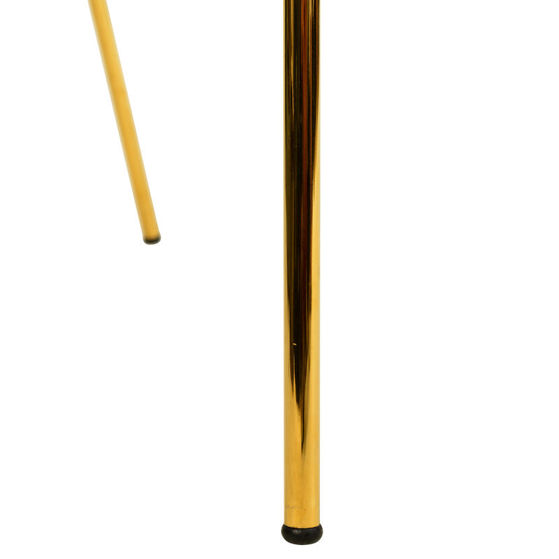 Bella Modern Dining Chair Upholstered in Leather With Stainless Steel Base Set of 2