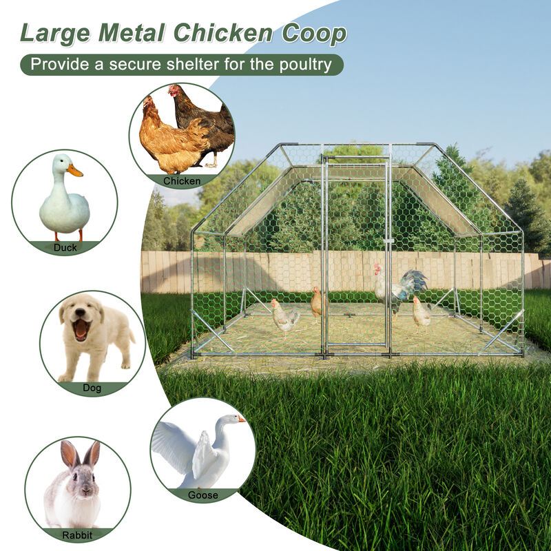 10 ft. x 13 ft. Galvanized Large Metal Walk in Chicken Coop Cage Farm Poultry Run Hutch Hen House image number 7